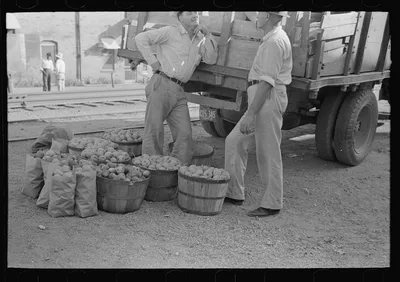 Apples and peddlers, Steele, Missouri, 1938