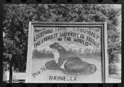Sign of frog company, Rayne, Louisiana, 1938