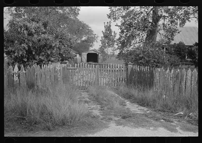 Driveway, Paulina, Louisiana, 1938