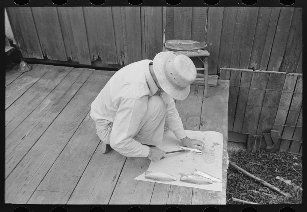 Man cleaning fish, Olga, Louisiana, 1938
