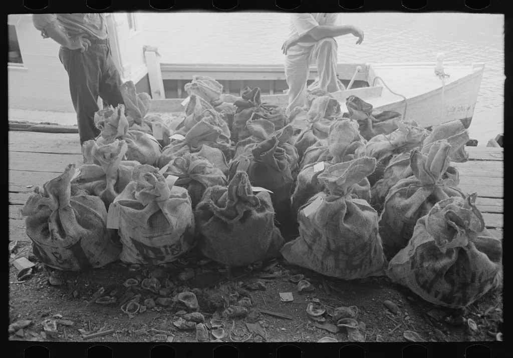 Sacks of oysters, Olga, Louisiana, 1938