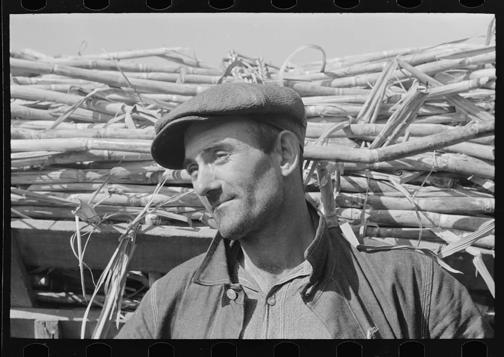 Sugarcane farmer near Delcambre, Louisiana, 1938