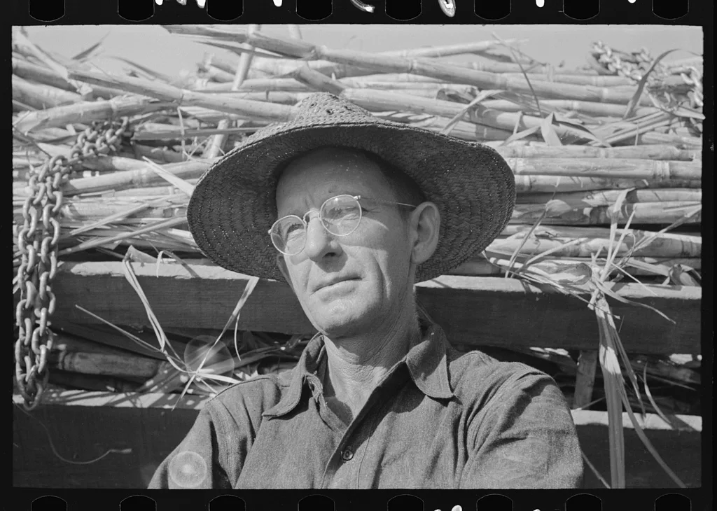 Sugarcane farmer near Delcambre, Louisiana, 1938