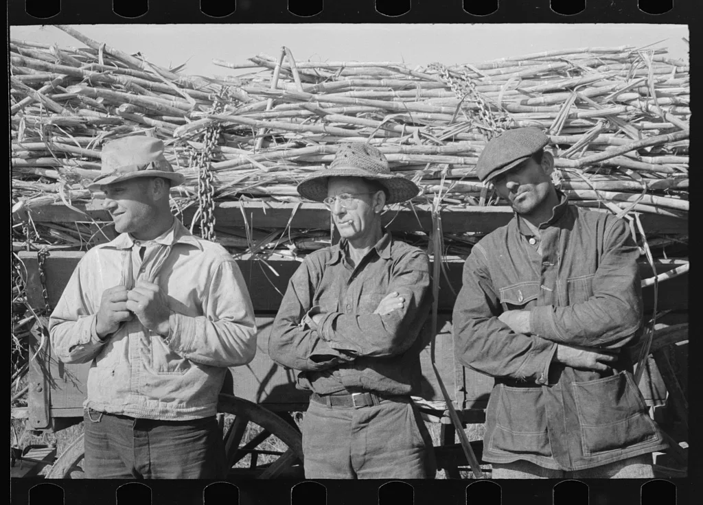Sugarcane farmers, Louisiana, 1938