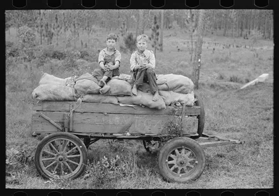 Farm boys, Louisiana, 1938