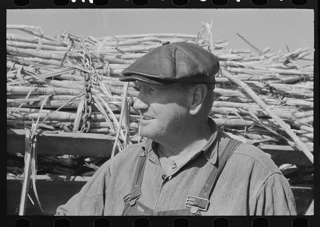 Sugarcane farmer, Delcambre, Louisiana, 1938