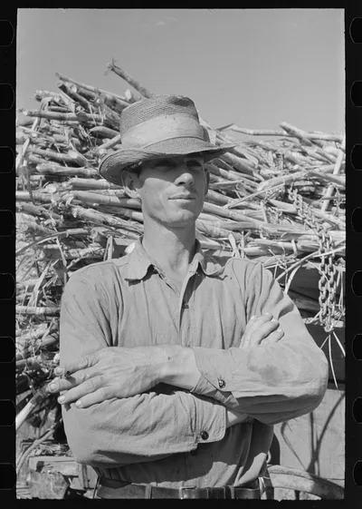 Sugarcane farmer, Delcambre, Louisiana, 1938