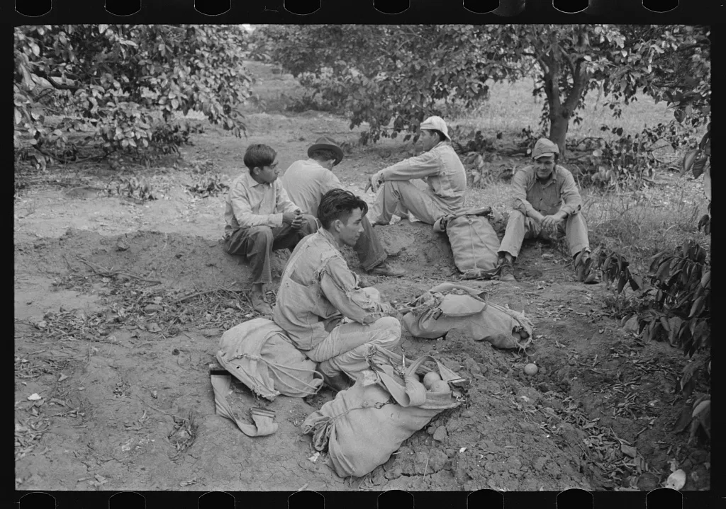 Citrus workers resting, Weslaco, Texas, 1939