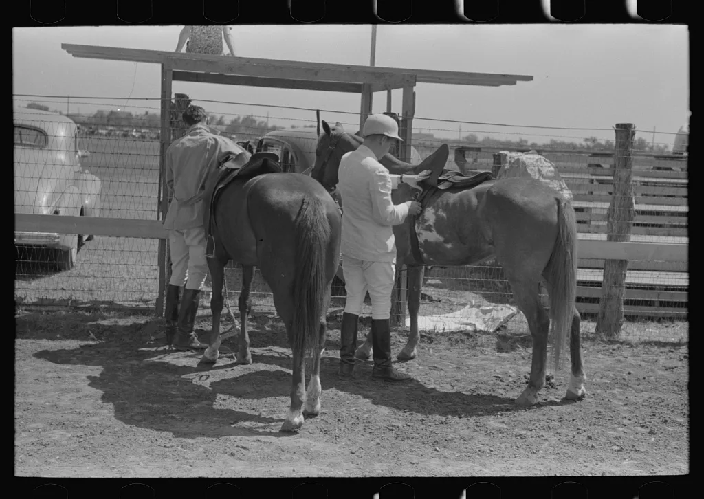 Harnessing ponies before polo match, Abilene, Texas, 1939