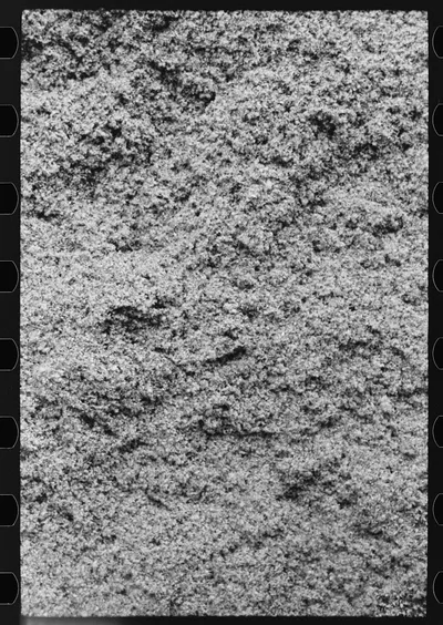 Cotton seed hulls, Waco, Texas, 1939