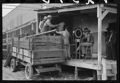 Unloading turkeys at poultry cooperative, Brownwood, Texas, 1939