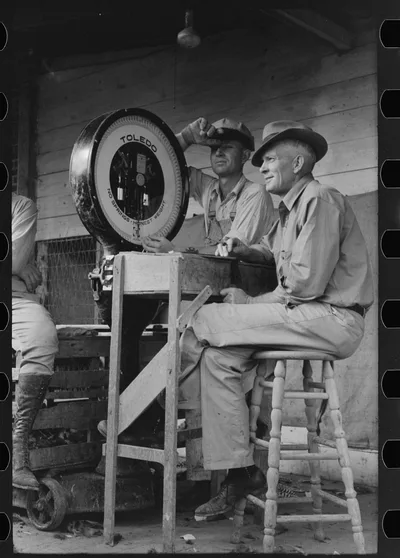 Weigher at poultry cooperative, Brownwood, Texas, 1939