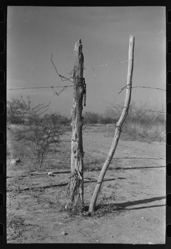 Detail of fence and gate, Laredo, Texas, 1940
