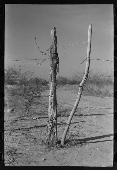 Detail of fence and gate, Laredo, Texas, 1940