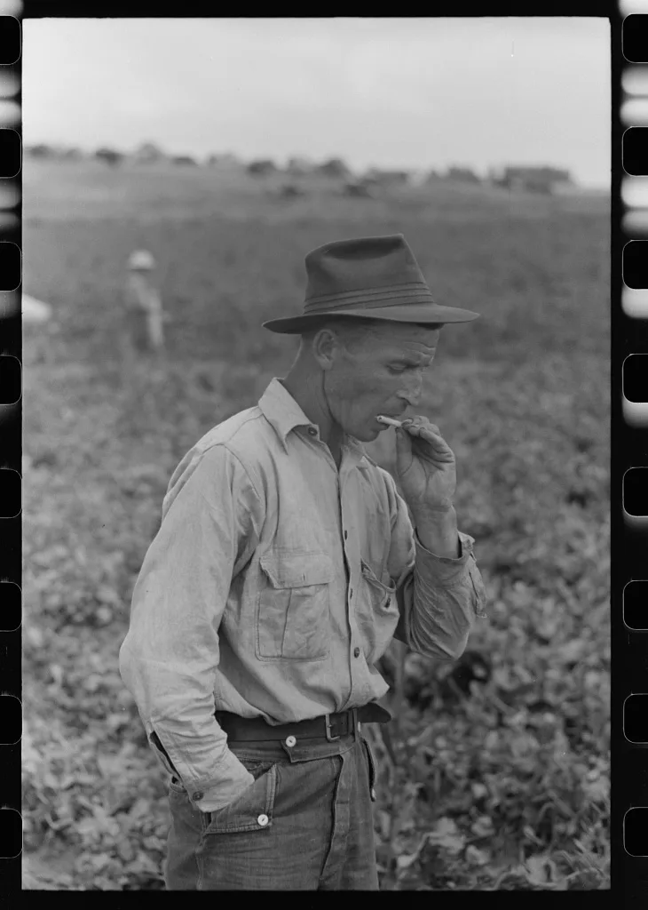 Picker of labor contractor's crew, Nampa, Idaho, 1941