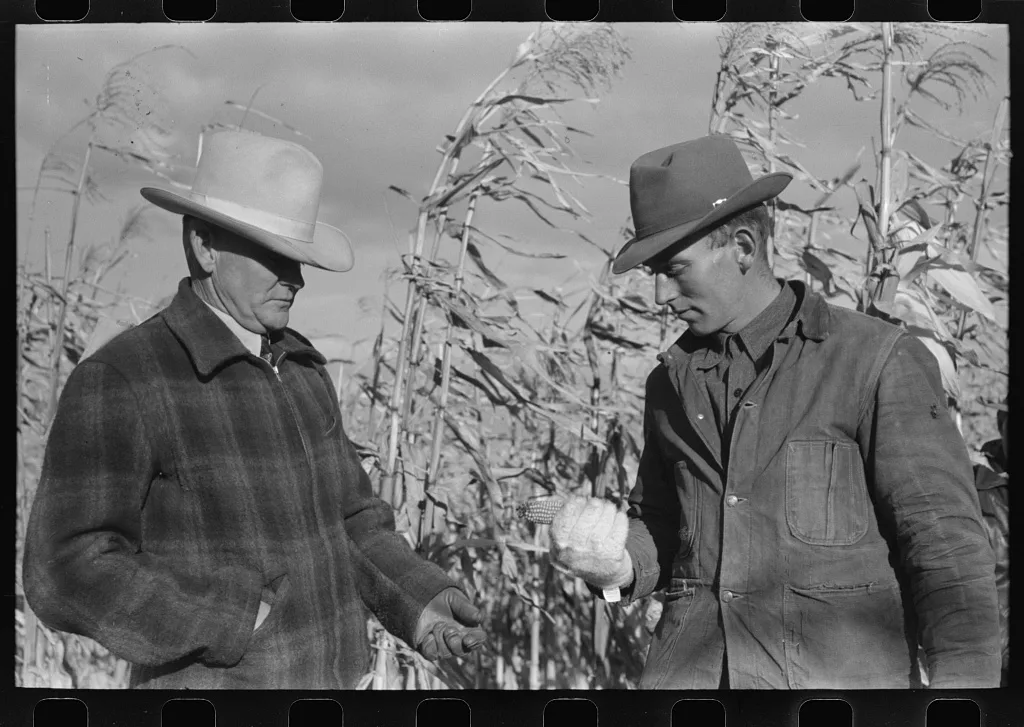 Spectators at cornhusking contest, Ontario, Oregon, 1941