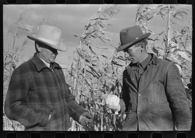 Spectators at cornhusking contest, Ontario, Oregon, 1941