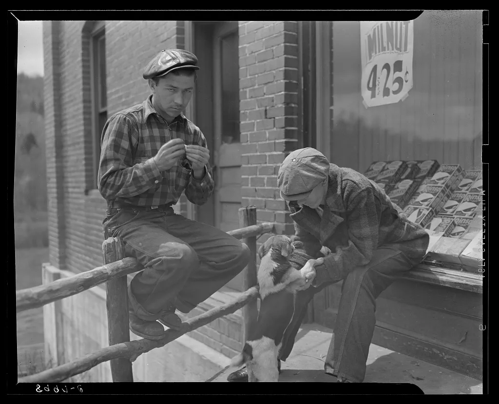 Park County, Montana. Oats, 1942