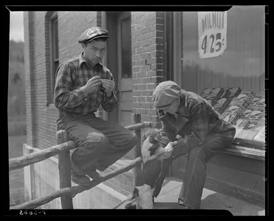 Park County, Montana. Oats, 1942