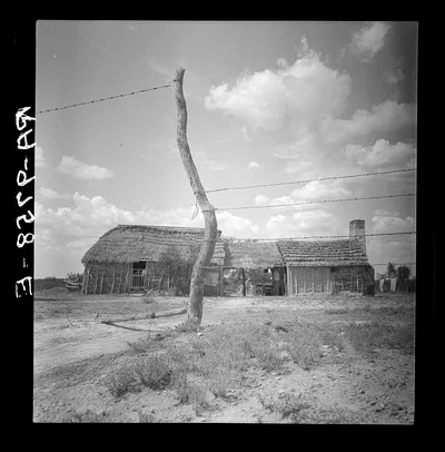 Type of dwelling of the lower Rio Grande Valley, Texas, 1939