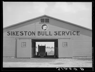 Photograph from Missouri: Barn near Sikeston, Missouri