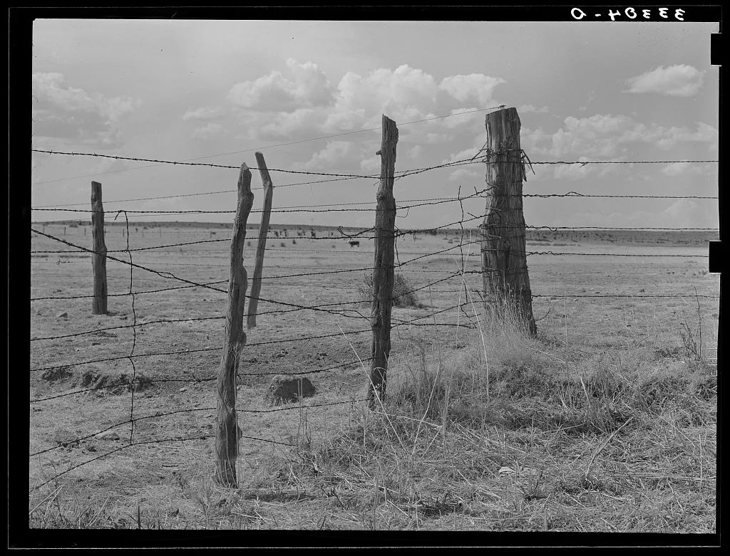 Fence construction on ranch near Marfa, Texas, 1939