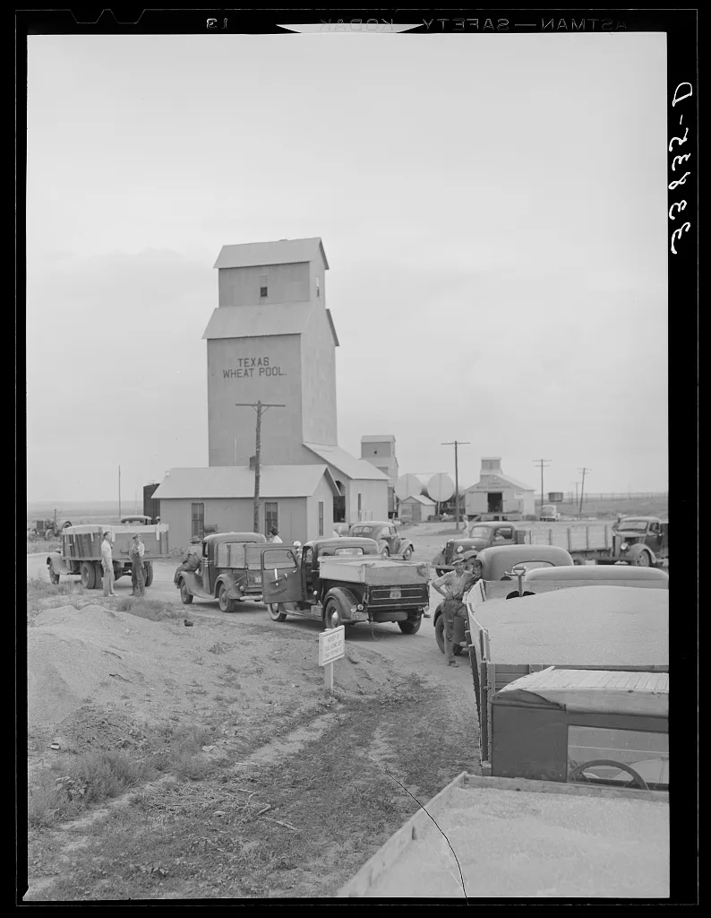 Line of trucks at wheat elevator west of Amarillo, Texas, 1939