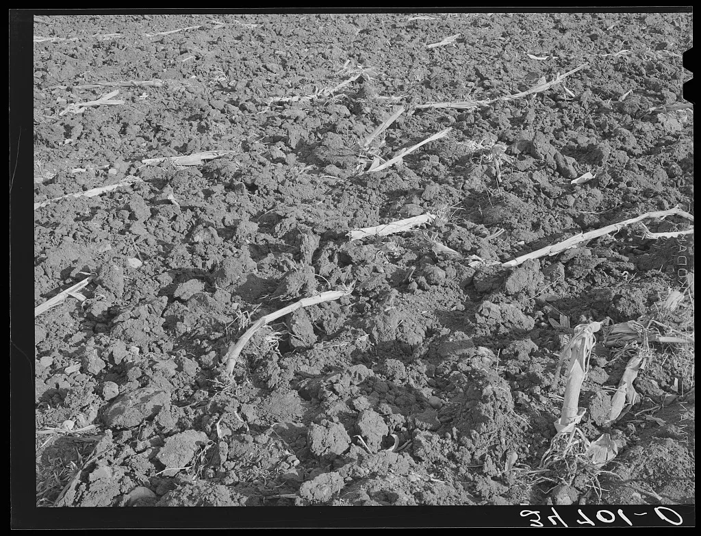 Cornfield after being plowed in the fall. McLennan County, Texas, 1939