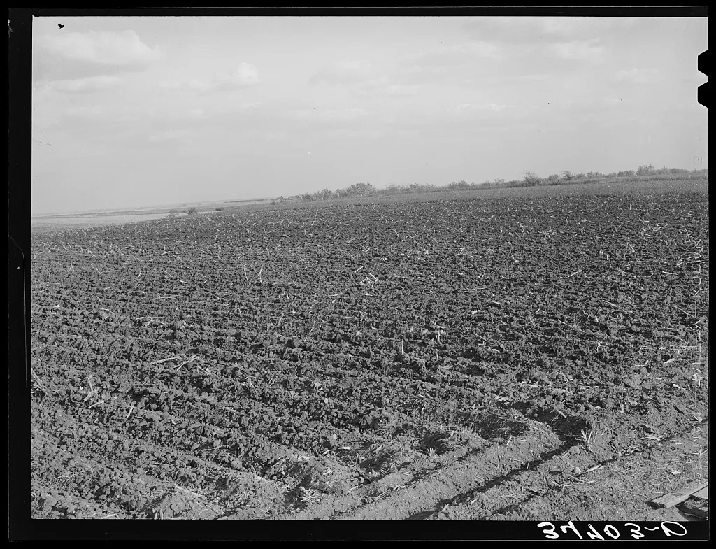 Cornfield freshly plowed in the fall. McLennan County, Texas, 1939