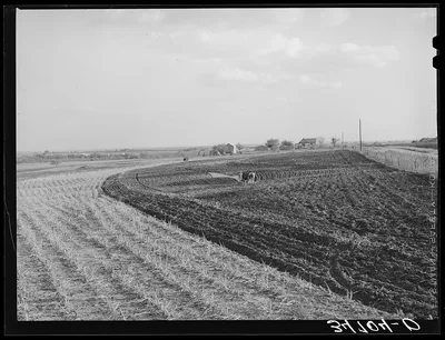 Fall plowing. McLennan County, Texas, 1939