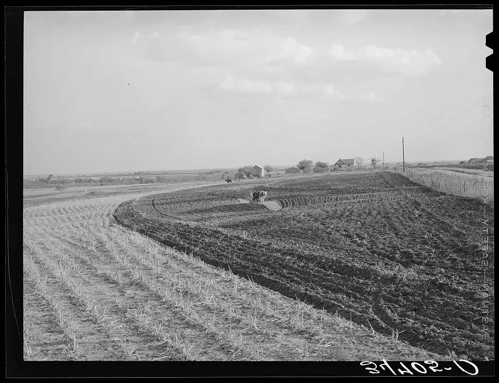 Cornfield freshly plowed in the fall. McLennan County, Texas, 1939