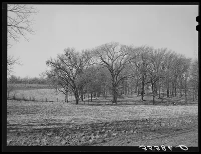 Landscape. McIntosh County, Oklahoma, 1940