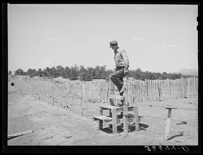 Farmer coming across stile on his farm. Pie Town, New Mexico, 1940