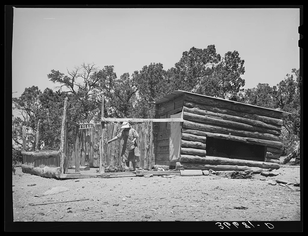 Mrs. George Hutton feeding her chickens. Pie Town, New Mexico.…, 1940