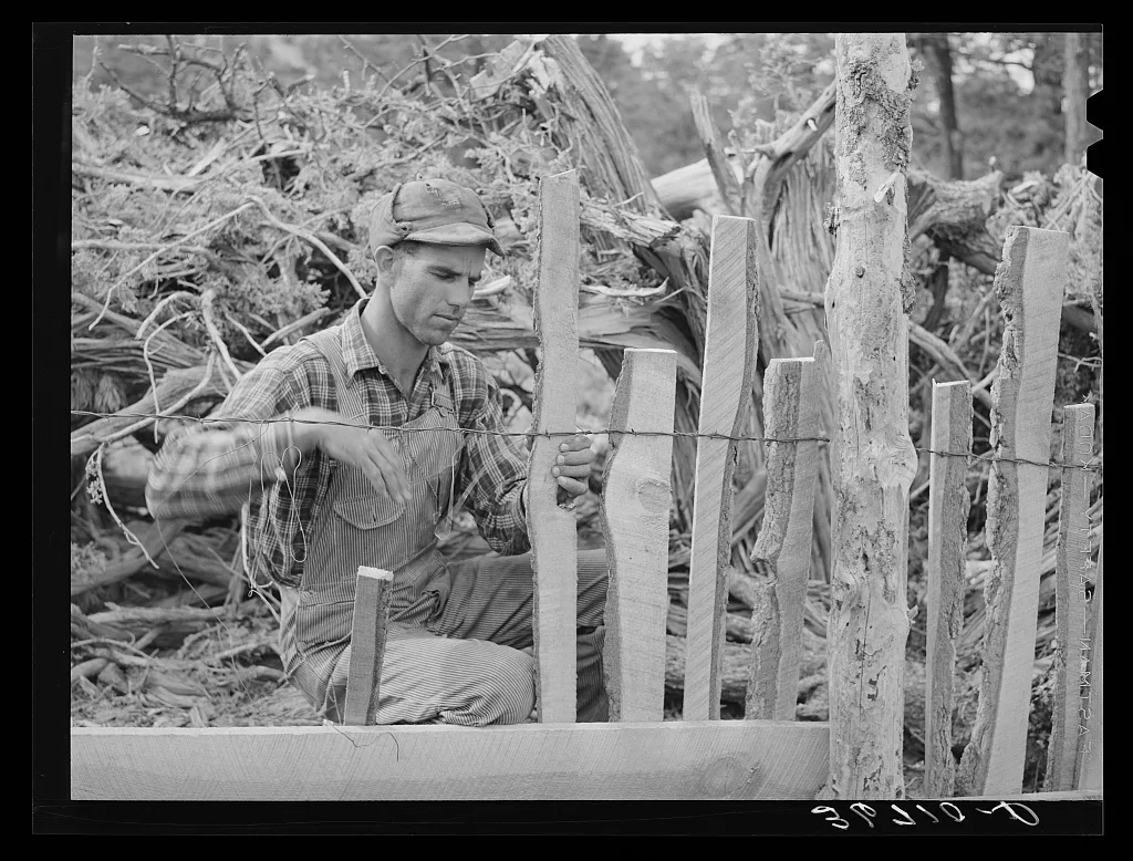 Jack Whinery fencing with handsplit rails on his homestead at Pie…, New Mexico, 1940