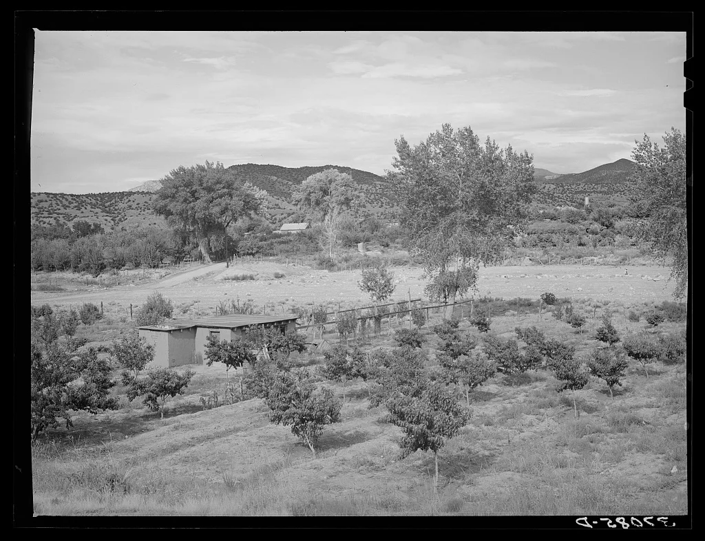 Irrigated Spanish-American farm. Amalia, New Mexico, 1940