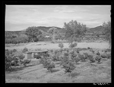 Irrigated Spanish-American farm. Amalia, New Mexico, 1940