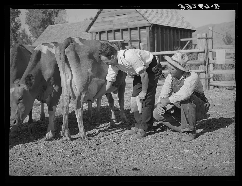FSA (Farm Security Administration) supervisor explaining the fine…, Utah, 1940
