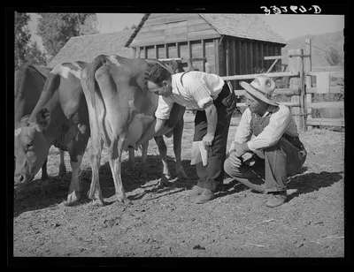 FSA (Farm Security Administration) supervisor explaining the fine…, Utah, 1940