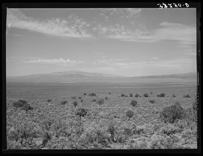 Upon land similar to this Brigham Young looked when he said, "This is…, Utah, 1940
