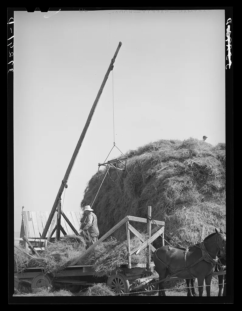 Mormon hay stacker in use. Box Elder County, Utah, 1940