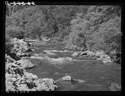 Mountain stream, the Logan River. Cache County, Utah, 1940