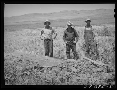 [Untitled photo, possibly related to: Members of the FSA (Farm…, Utah, 1940