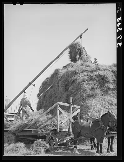 Stacking hay with Mormon hay stacker. Box Elder County, Utah, 1940