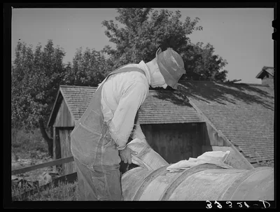 Farmer putting lead arsenate into tank of FSA (Farm Security…, Utah, 1940