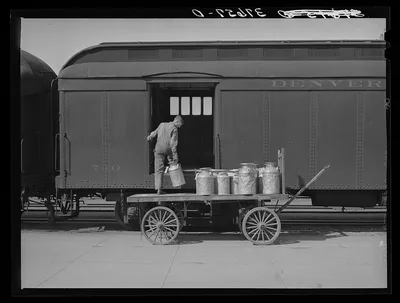 Unloading cans of milk from early morning train. Montrose, Colorado, 1940