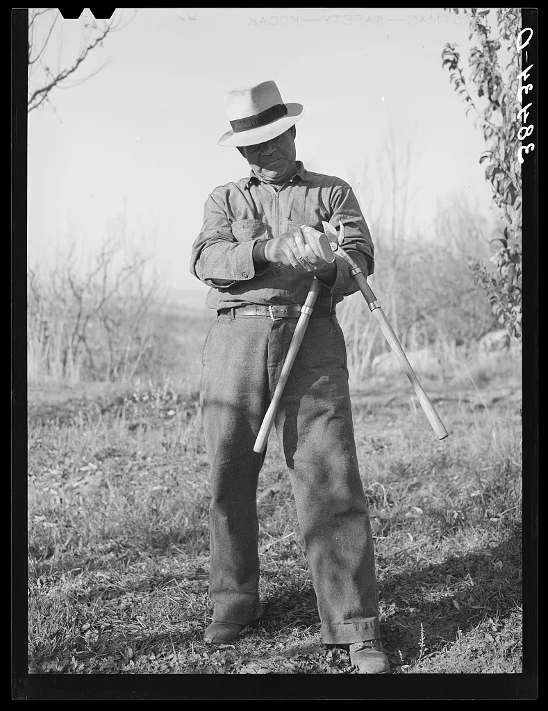 Farmer. Placer County, California, 1940