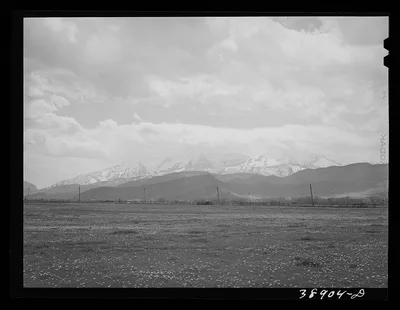 [Untitled photo, possibly related to: Spring pasture with the…, Utah, 1941