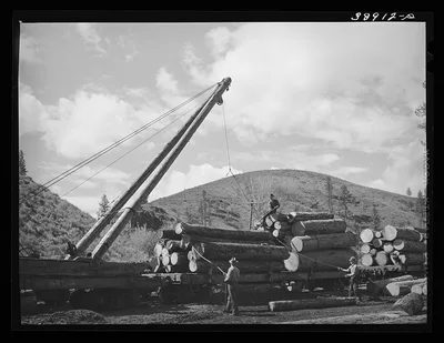 Loading logs onto railroad cars for transportation into town. Baker…, Oregon, 1941