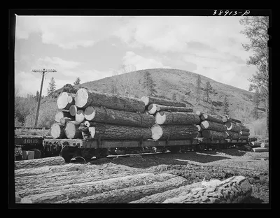 Logs on railroad cars. The logs have been brought from the mountains…, Oregon, 1941